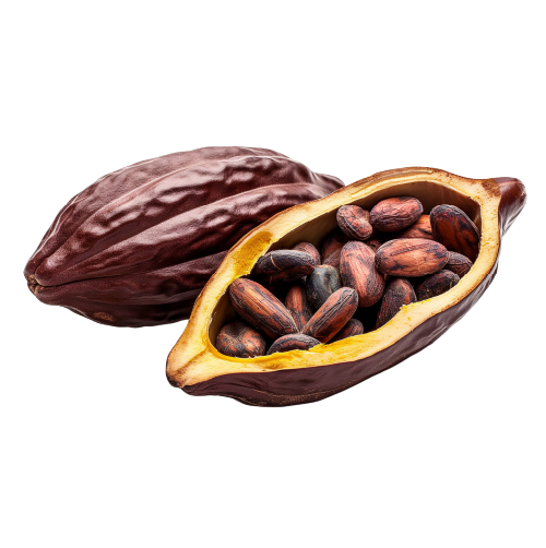 MEXICAN CACAO