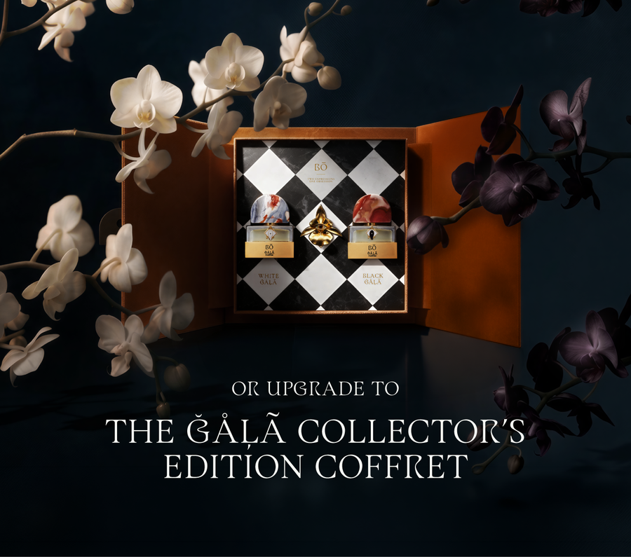 Or upgrade to the ĞÅĻÃ Collector’s Edition Coffret