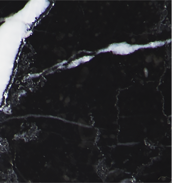 Tesoro – House of Bō Fragrances