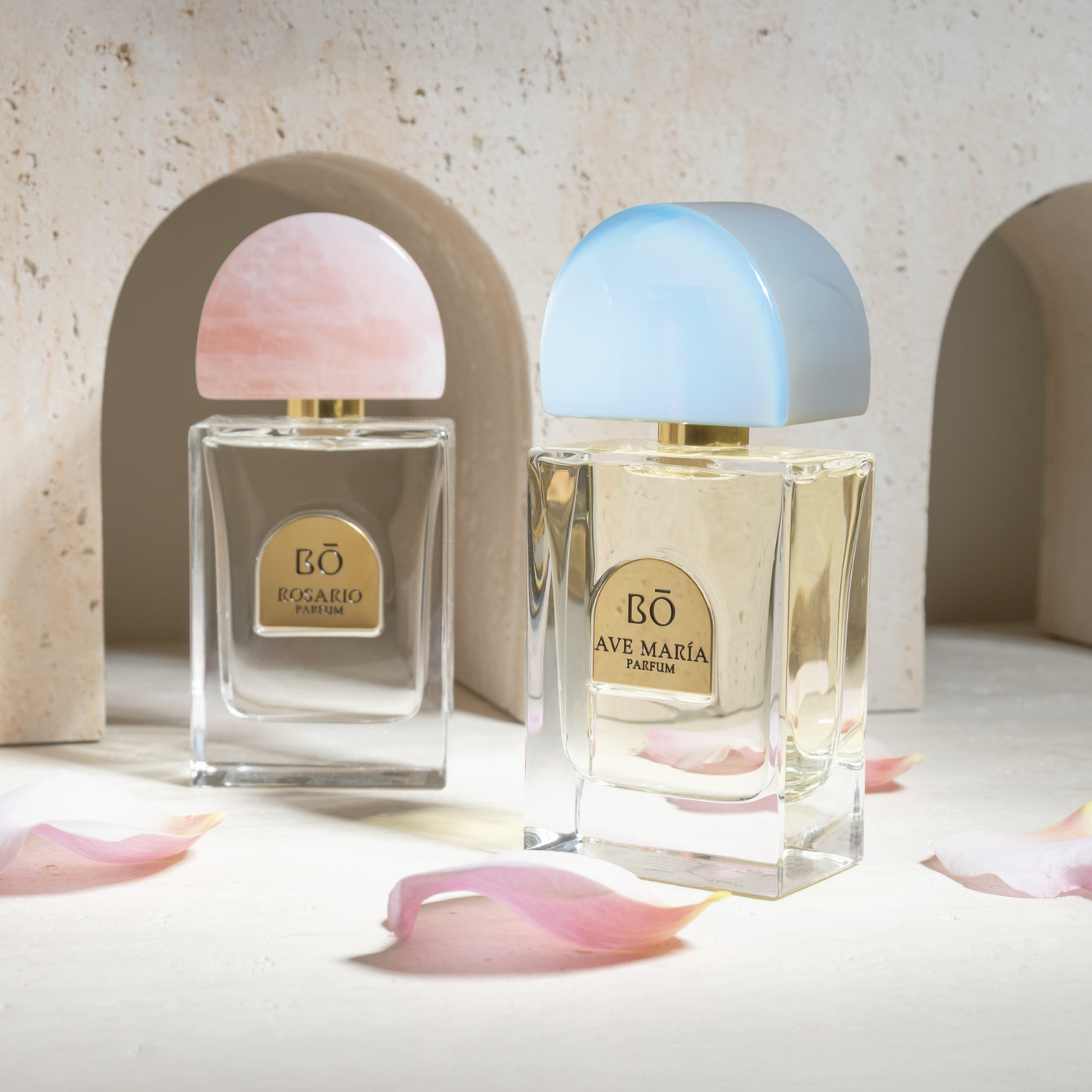 Ave María + Rosario