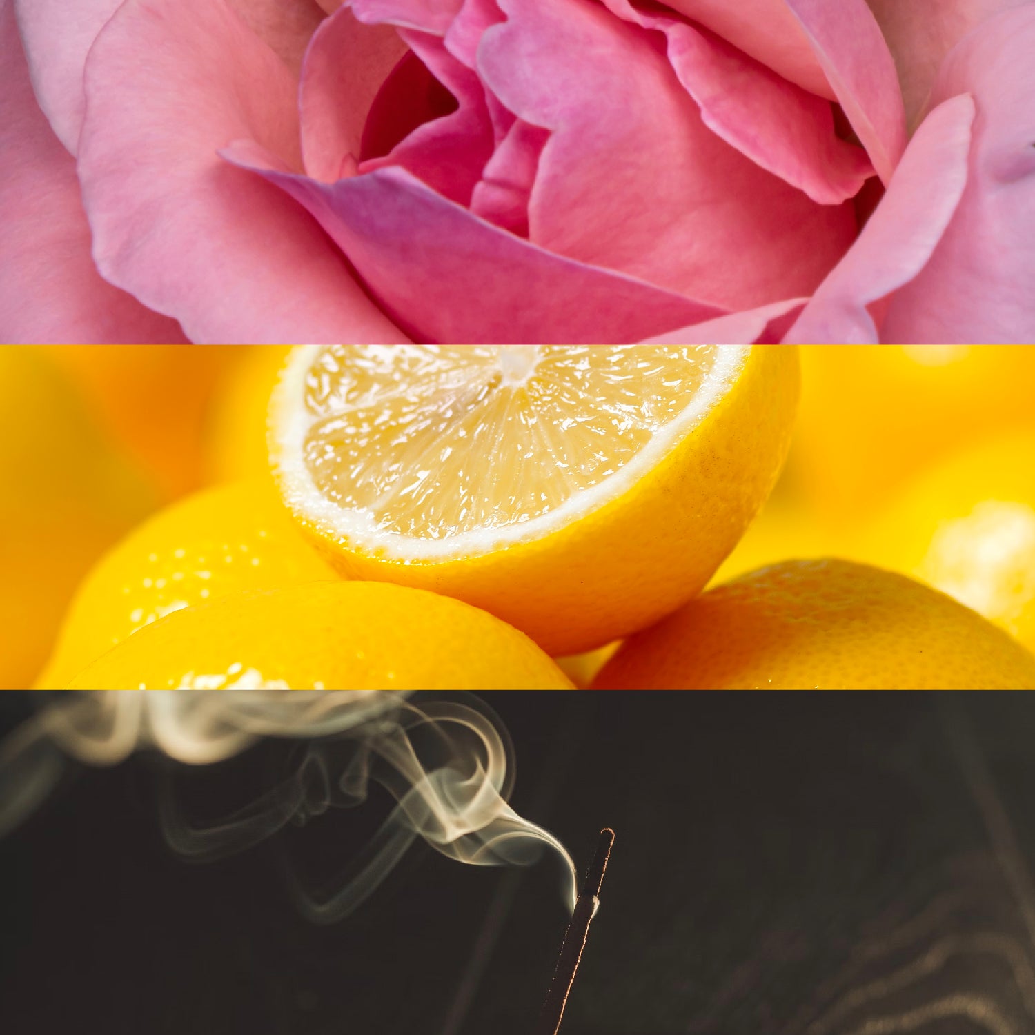 ROSARIO Eau de Parfum | House of BŌ – House of Bō Fragrances